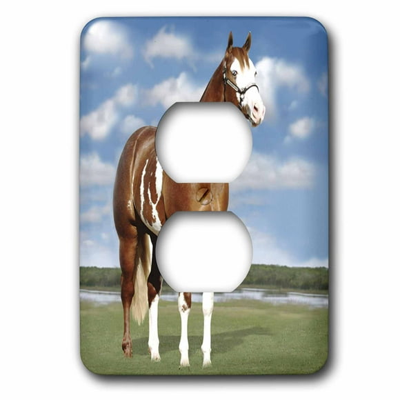 3dRose lsp_52652_6 A Horse Grazing Outlet Cover 